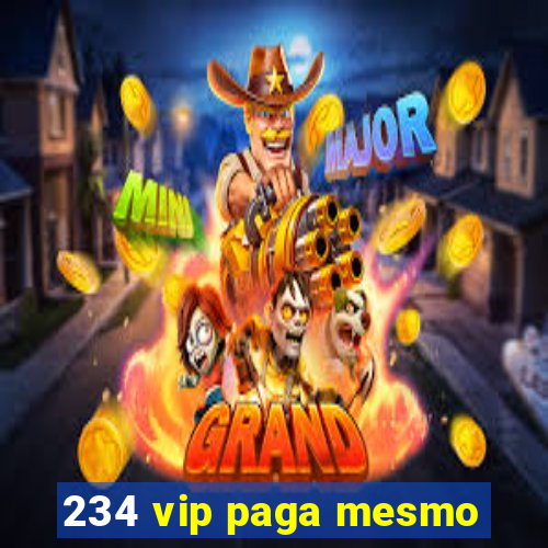 234 vip paga mesmo